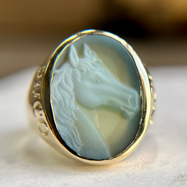 Horse  Non Ducor Duco