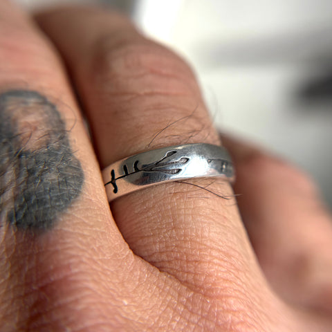 The Ale Killed Us Band