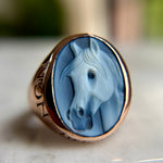 Ghost Horse Non Ducor Duco - product thumbnail