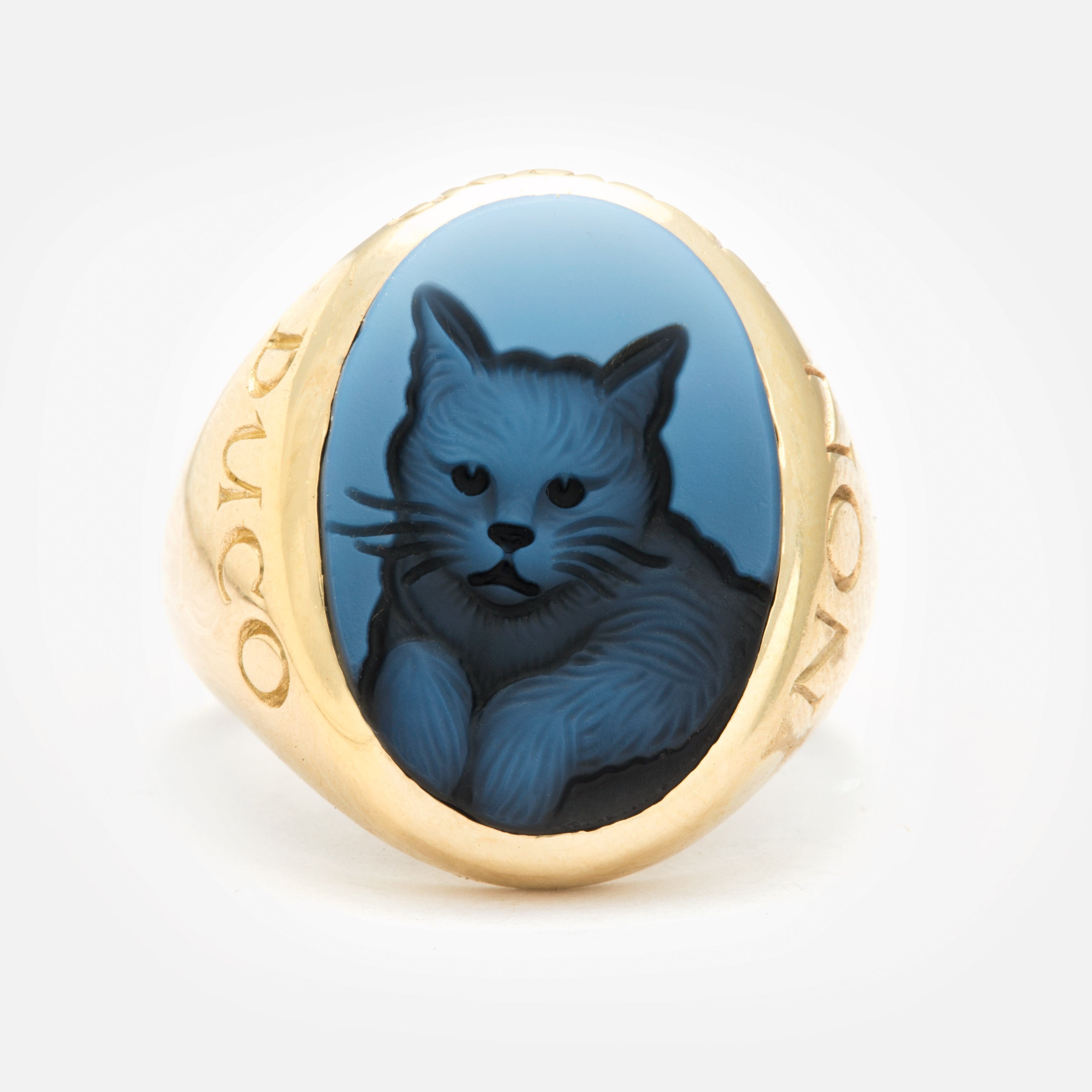 Kitty Cat Non Ducor Duco – Digby & Iona