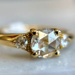 White Rose Oleander - product thumbnail