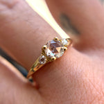 White Rose Oleander - product thumbnail