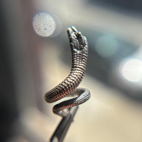 Danger Noodle Chain Slider