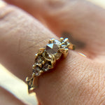 Champagne Rose Nico - product thumbnail