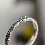 Ouroboros Band - product thumbnail