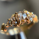 Champagne Rose Nico - product thumbnail