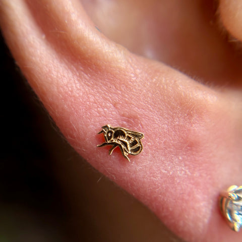 Wee Bee Studs