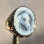 Ghost Horse Non Ducor Duco - product thumbnail